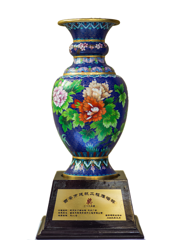 2009年航天動(dòng)力雁塔杯.png