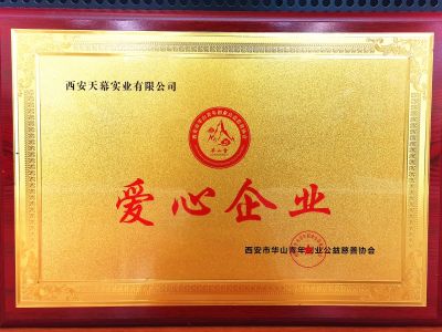 西安市華山青年創(chuàng)意公益慈善協(xié)會授予西安天幕實(shí)業(yè)有限公司“愛心企業(yè)”